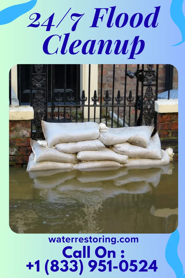 24/7 Flood Cleanup in San Carlos, TX