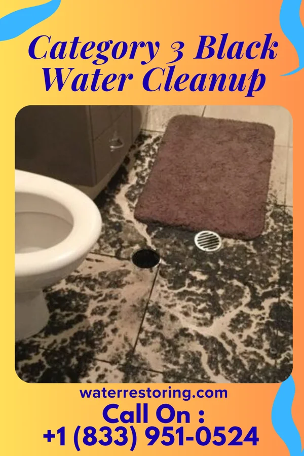 Category 3 Black Water Cleanup in San Carlos, TX