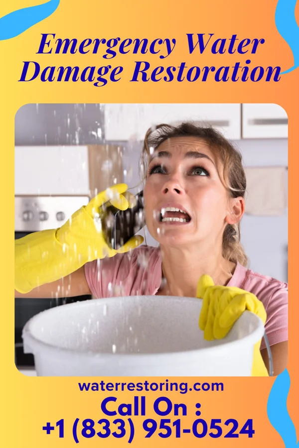 Emergency Water Damage Restoration in San Carlos, TX