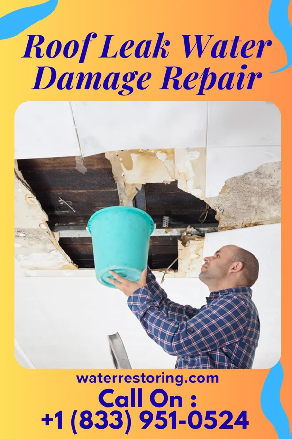 Roof Leak Water Damage Repair in San Carlos, TX